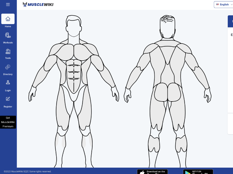 Screenshot of MuscleWiki